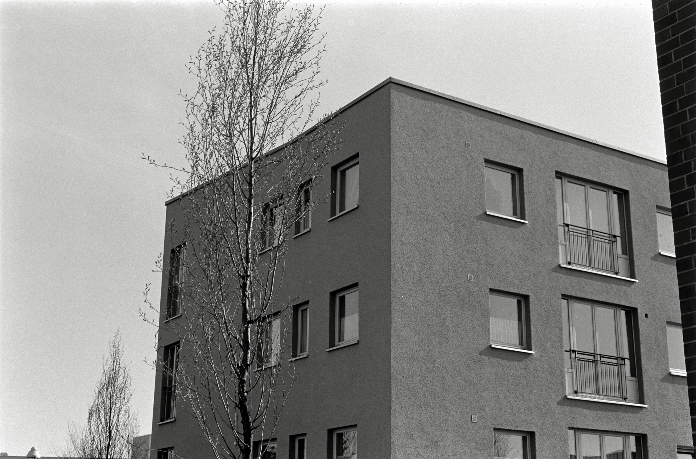 AHP F1993 03 006 sc240902 img28 NLP